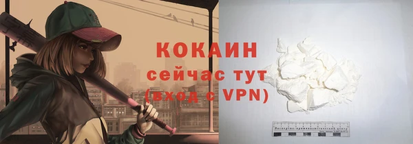 дживик Аркадак